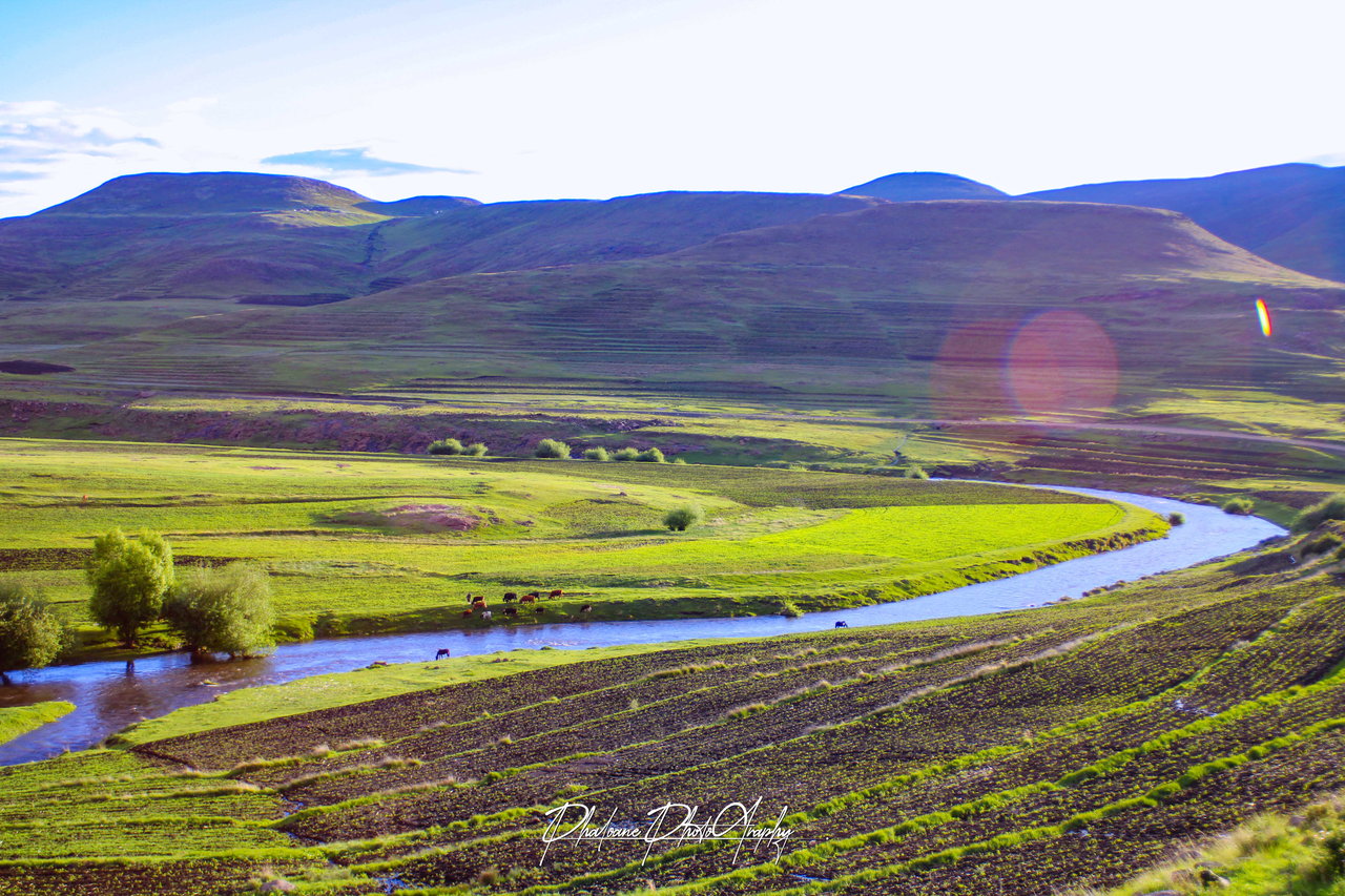 The view of the farmland in Semonkong with the herdboy looking out for animals alongside the river. The view of the farmland in Semonkong with the herdboy looking out for animals alongside the river.